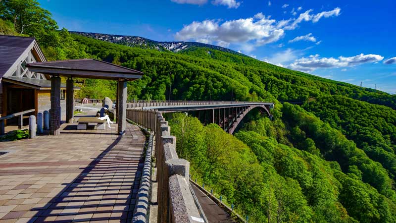 hikaku006-moritohon01