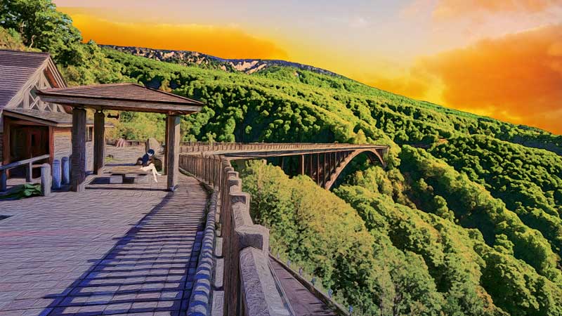 hikaku006-moritohon02